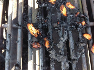 55F1A03417C0E Chicken Sticking