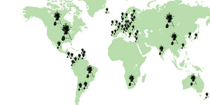 5654Ec8819A01 Grillingaroundtheworld Copy