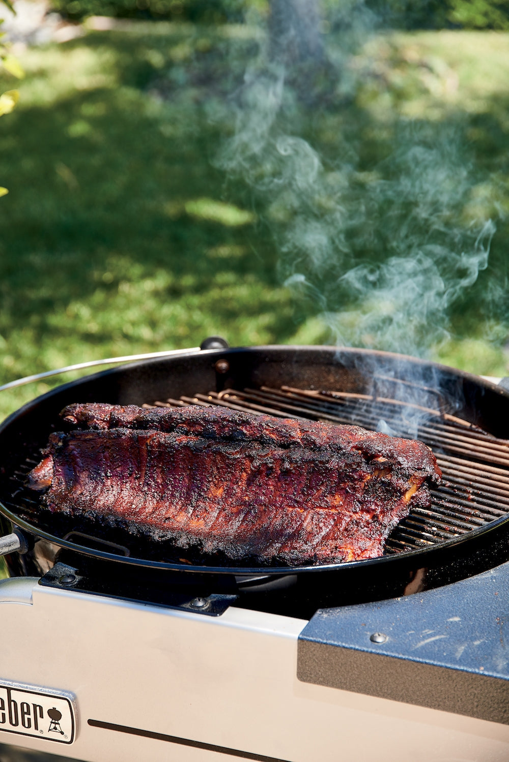 5926D429748C8 Baby Back Rib 02 Copy