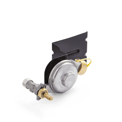 Gas Valve and Regulator Assembly