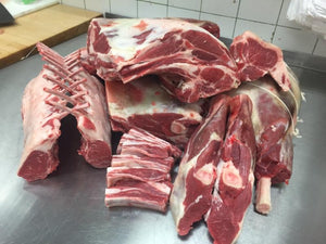 551D58B09Ce4B Lamb