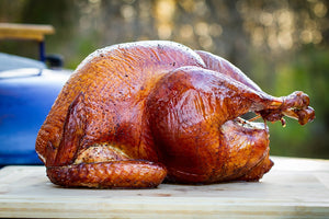 5818Fe620E837 Turkey Feature