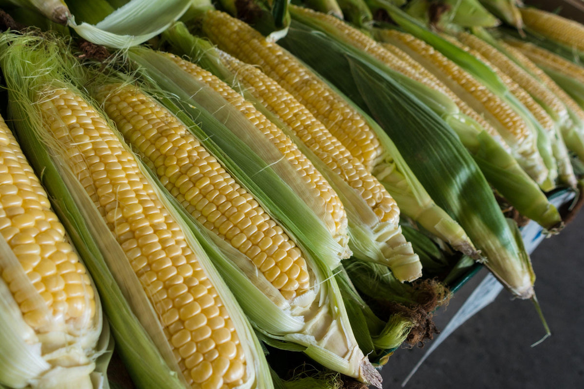 Cornblog Hero