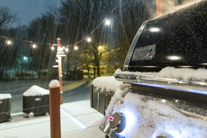 Gen Ii Lx Snow 2