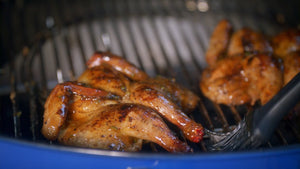 Spatchcocked Game Hen Tuffy Stone