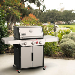 Genesis 3 Burner