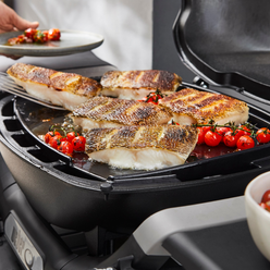 Plancha encastrable antirouille