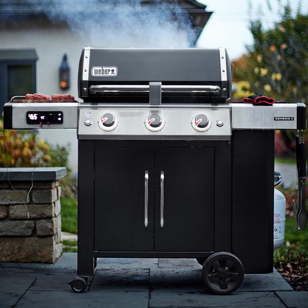 Genesis II EX-315 Smart Grill