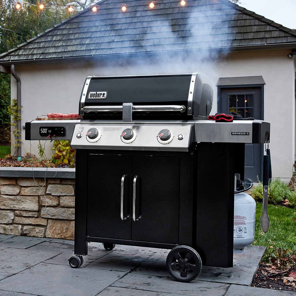 Genesis II EX-315 Smart Grill