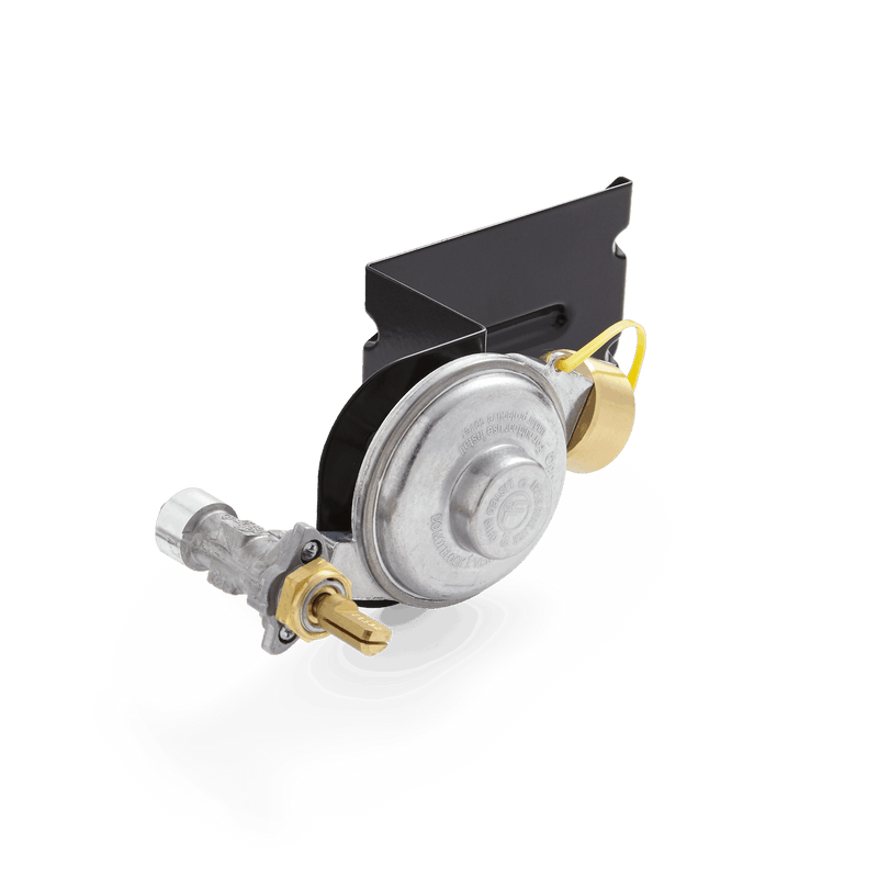 Gas Valve and Regulator Assembly