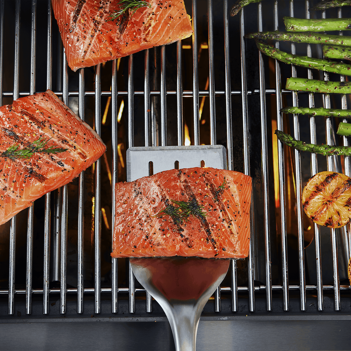 Spatule Precision