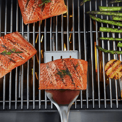 Spatule Precision