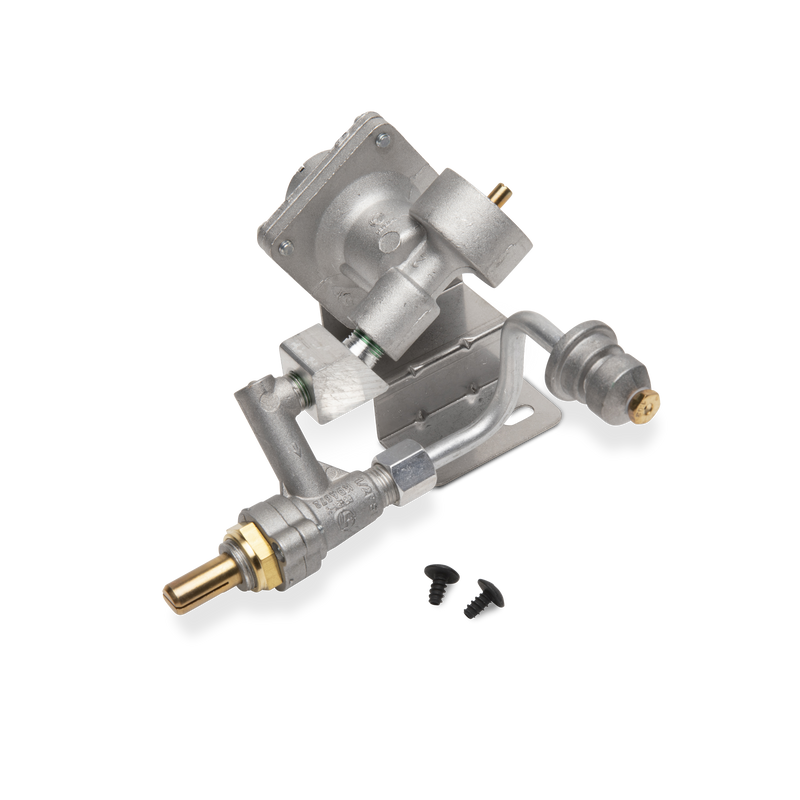 Gas Valve and Regulator Assembly