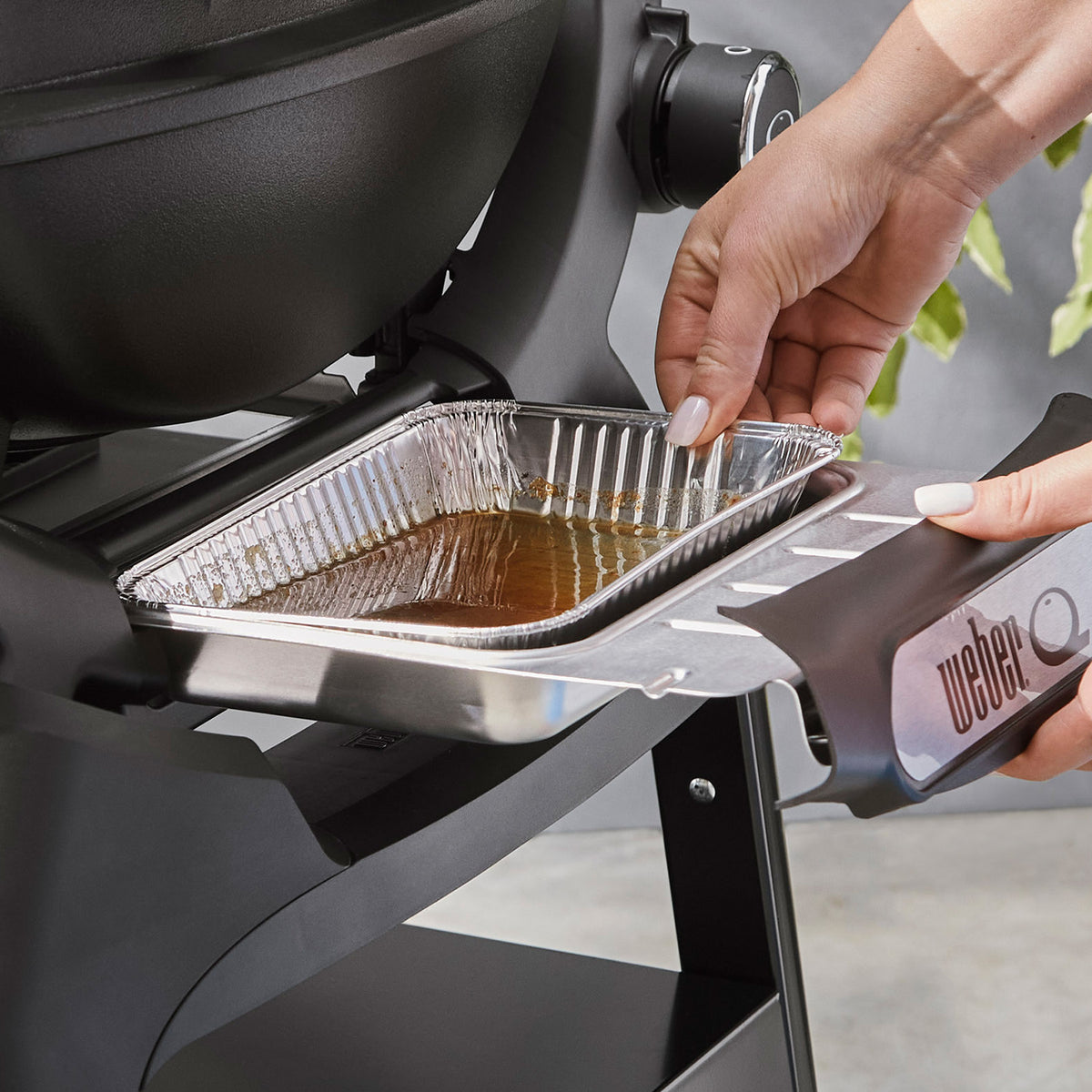 Q 1000N Gas Grill (Liquid Propane)