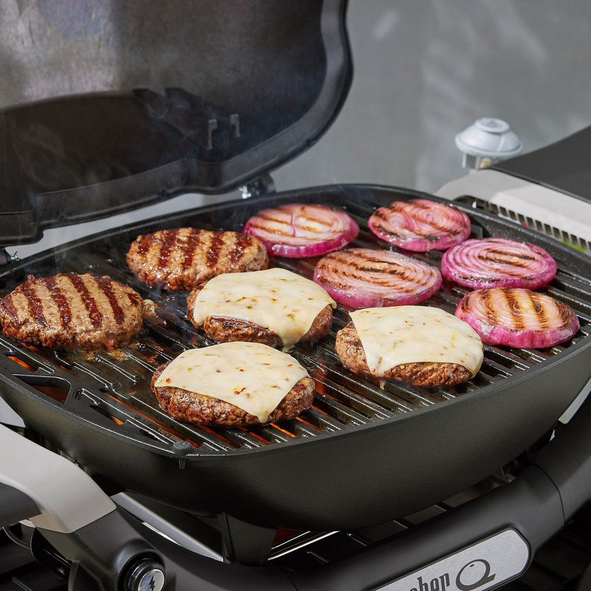 Q 1000N Gas Grill (Liquid Propane)