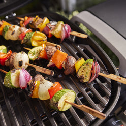 Q 1000N Gas Grill (Liquid Propane)