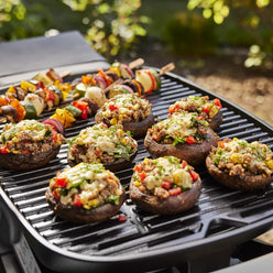 Q 1000N Gas Grill (Liquid Propane)