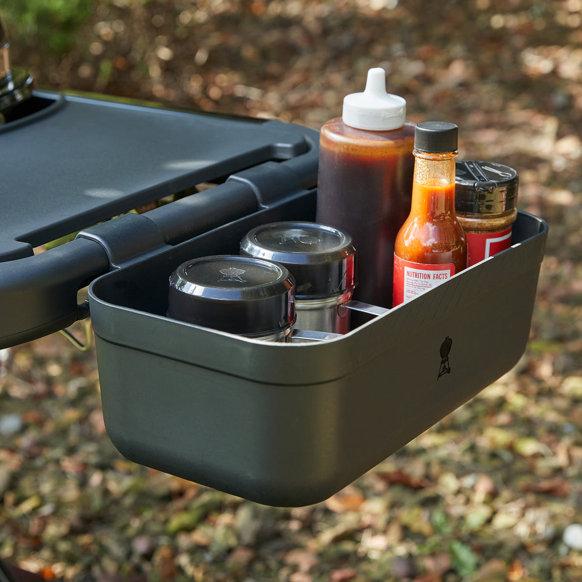 Barbecue au gaz portatif Weber Travelerᴹᴰ
